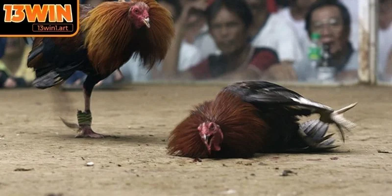 Quy tắc chung về thời gian