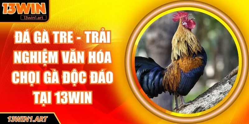 Đá gà tre